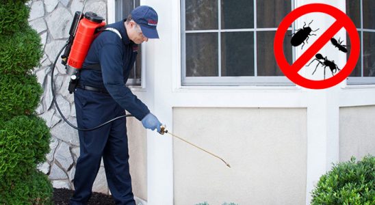 Karesi Dezenfeksiyon böcek ilaçlama ve haşere kontrolü — ilaclama-tr.com